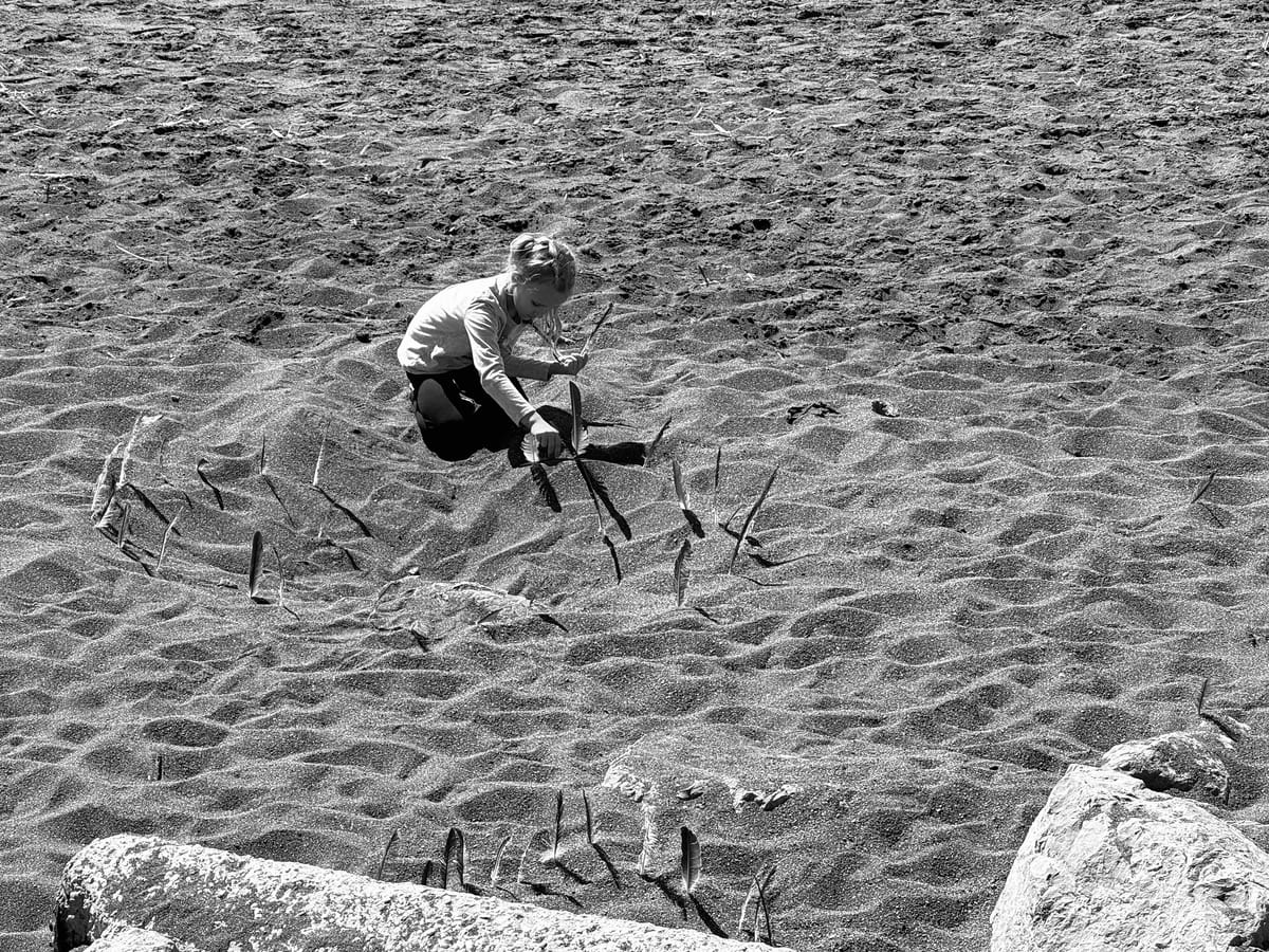 Black and white photo of a young girl arranging feathers into patterns in the sand.