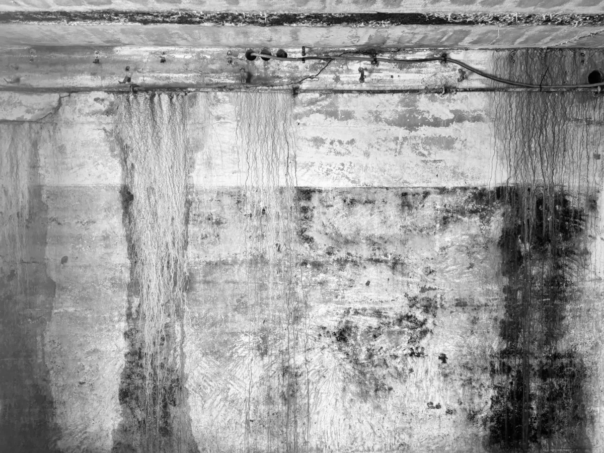 Black and white photograph of a concrete wall with weather and mold stains, resulting in a dark, moody abstraction.