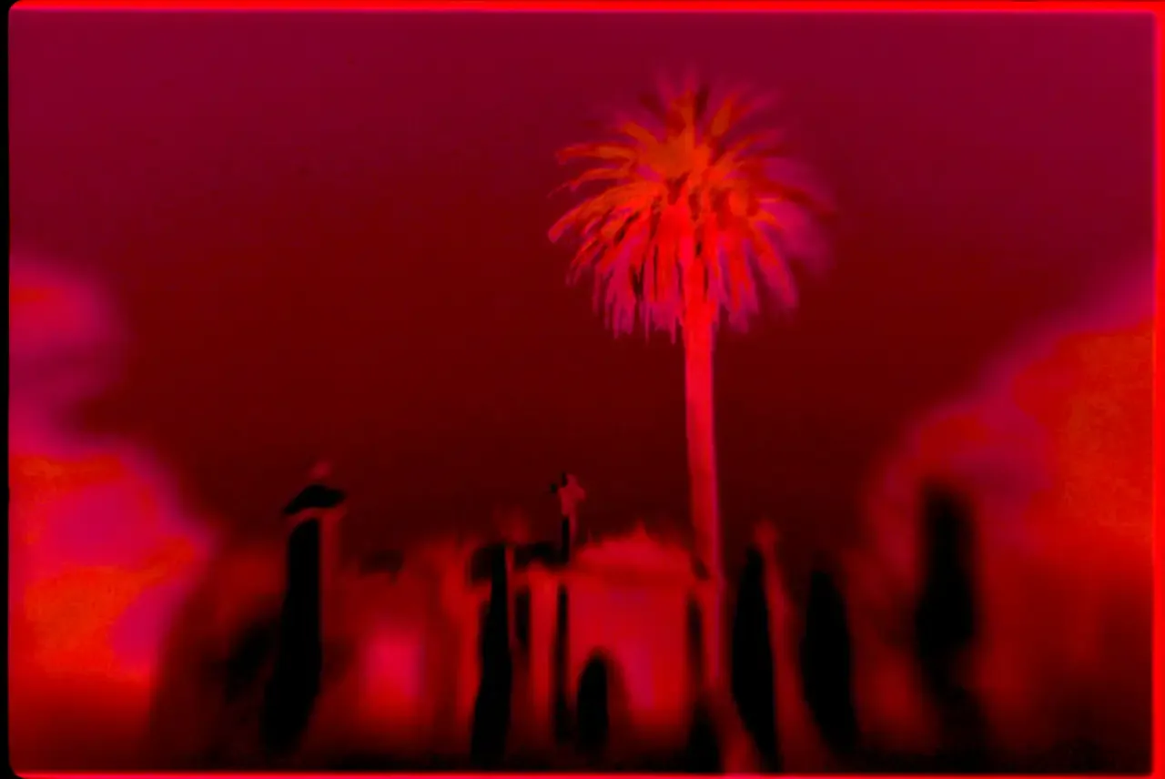 a single glowing palm tree over several tombstones, everything is colored red and black